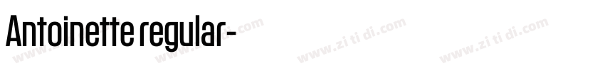 Antoinette regular字体转换